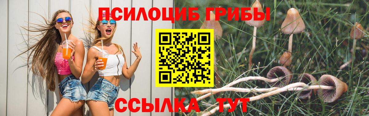где можно купить   Вход с VPN  Нурлат  Галлюциногенные грибы мицелий 